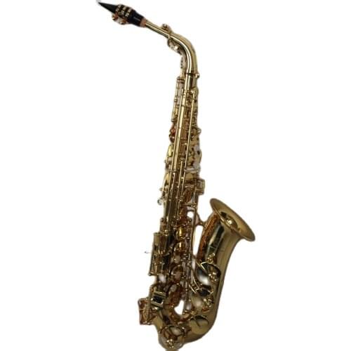 High Grade Gold lacquer Low C key dual arms Alto Saxophone