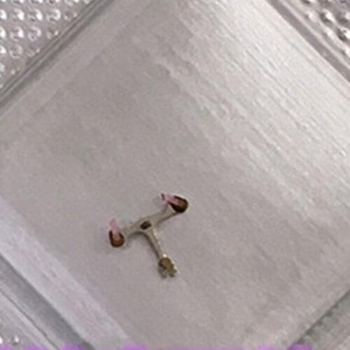 Watch movement accessories original Swiss 3135 movement accessories original 3135 pony escapement fork single price