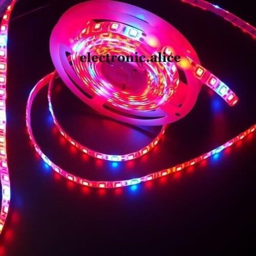 Hotselling 5M LED 5050 Strip Light Red Blue 5:1 For Plant Grow Flower Strip Lamp 12V New