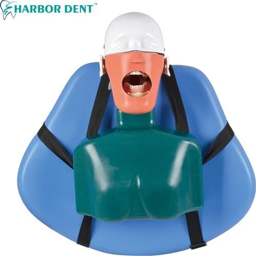 Dental Simulation Head Model Dental Implant Model Dentistry Manikins Phantom Head Model Dental Training Model