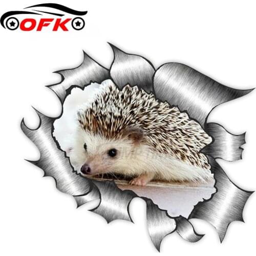 Car Stickers Decor Motorcycle Decals Cute Hedgehog Motif Decorative Accessories Creative Sunscreen Waterproof PVC,13cm*13cm