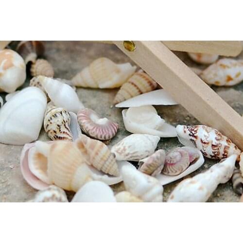 Funny 1 bag DIY Mixed Sea Shells Shell Craft Aquarium Nautical Decor Ornaments Wreaths