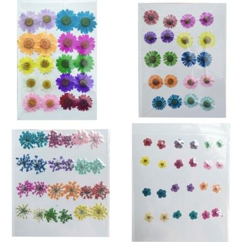 24 Pcs DIY Mixed Dried Flowers Resin Mold Fillings UV Epoxy Flower for Nail Art Pressed Flowers Decal for Home Decor Handicraft