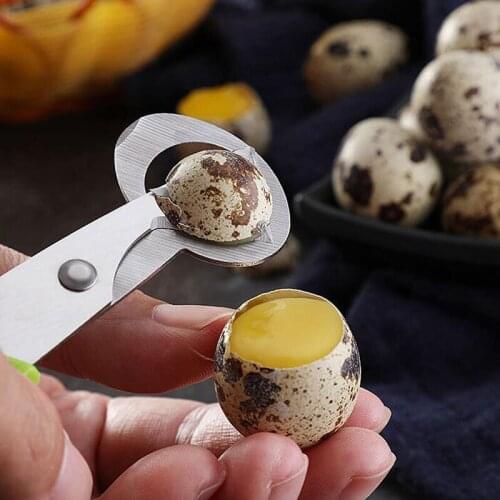 Pigeon Quail Egg Scissor Bird Cutter Opener Egg Slicers Kitchen Housewife Tool Clipper Accessories
