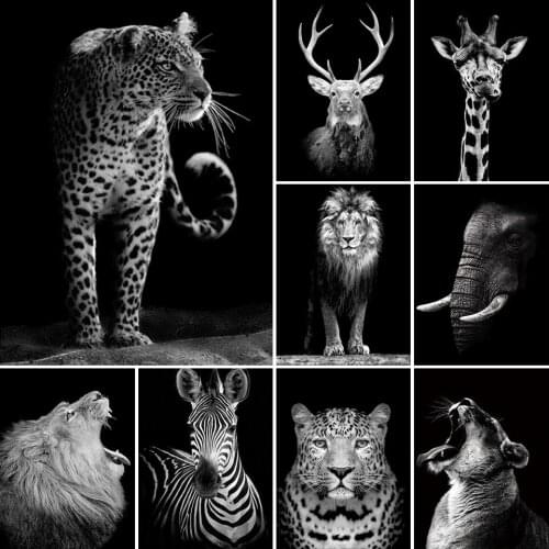 5D Diamond Painting Black White Animal Lion Tiger Cross Stitch Full Drill Square Embroidery Mosaic Picture Of Rhinestones Gift