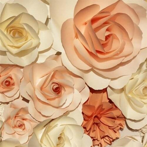 Digital Printing Cream Coral Color 3D Flowers Wall Backdrop Wedding Photography Baby Newborn Photo Props Kids Floral Background