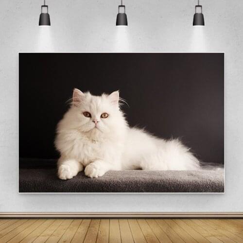 Background Photo Lovely Cats Printed Photocall Photozone Vinyl Photography Animals Design Backdrop Photos Decorations