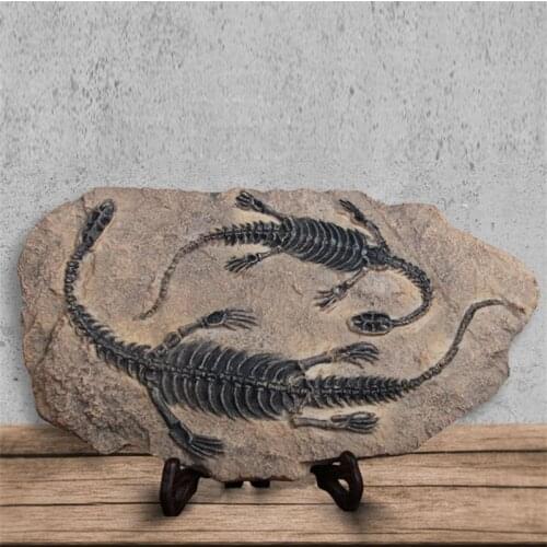 Resin handicrafts Simulation dinosaur fossil creative hand made home decor Jurassic Park Private museum crafts offbeat decation