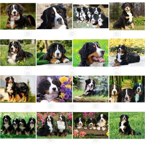 Diamond Embroidery Animal Paintings Full Square Round Dog Series Mosaic Kit Bernese Mountain Dogs Gift Home Decoration New Style