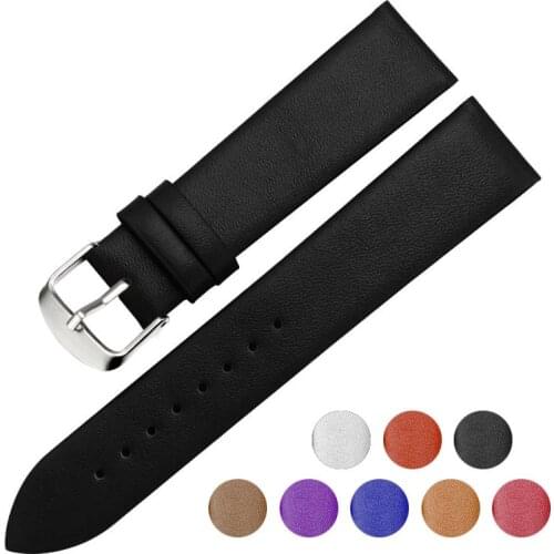 France calf leather Watch strap 12mm to 22mm Genuine leather Watch band with Silver Pin buckle For IWC Omega Seiko Casio watches
