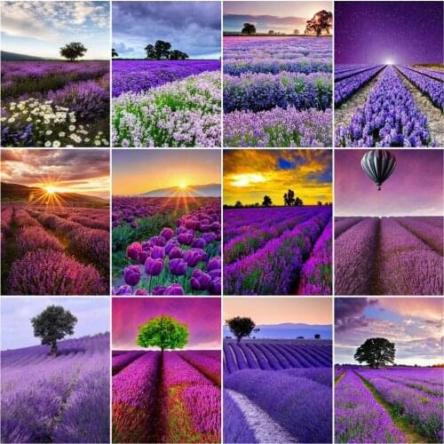 AZQSD Diy Frame Oil Painting Lavender Drawing On Canvas Paint By Number Flower Kits Acrylic Unique Gifts