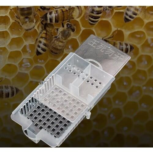 Beekeeping Equipment Queen Cage with Transparent Lid Beekeeping Queen Rearing Tool