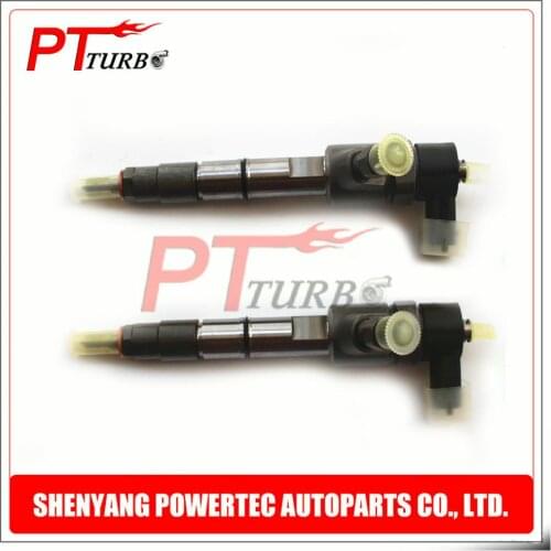 Common rail injectors 0445110313 assembling and disassembling fuel pump injector 0445 110 313 , 0 445 110 313