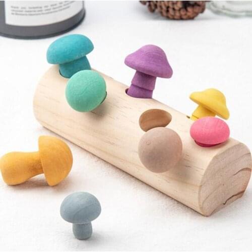 Funny Mushroom Picking Game Wooden Rainbow Blocks Montessori Educational Baby Toys Matching Assembly Grasp Party Favors