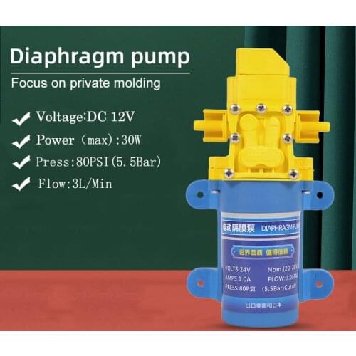 Micro Electric Diaphragm Water Misting Cooling Pump Automatic Switch 3L/min High Pressure Booster Mist Pump DC 12V 30W