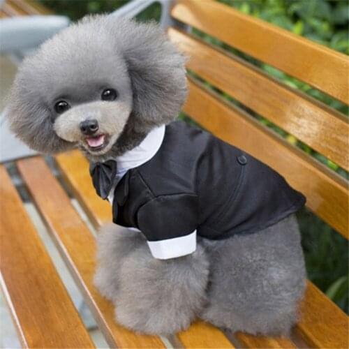 Зоотовары Oeny China At AliExpress