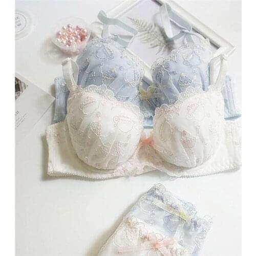 Plus Size Women Underwear and Bra Set Japanese Sexy Embroidery Lace Ultra Thin Bra Brief Thong Sets for Female Young Girls White