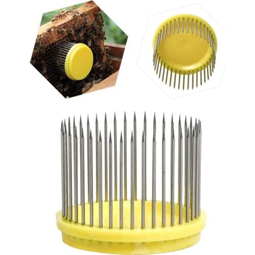 Bee Queen Cage Needle Beekeeping QueenBee Hive Tools For Beekeeping Equipment Beekeeper Suppiler