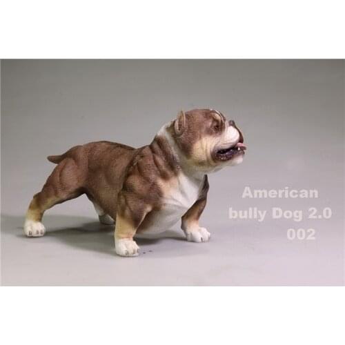 American Bully Dog 1/6 Scale White/Sand/Brown/Black Pitbull Puppy Dog Animal Simulation Model Toy for 12" Action Figures