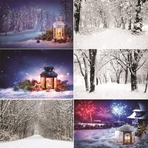 Vinyl Custom Photography Backdrops Prop Snow scene Photography Background 200509U-1