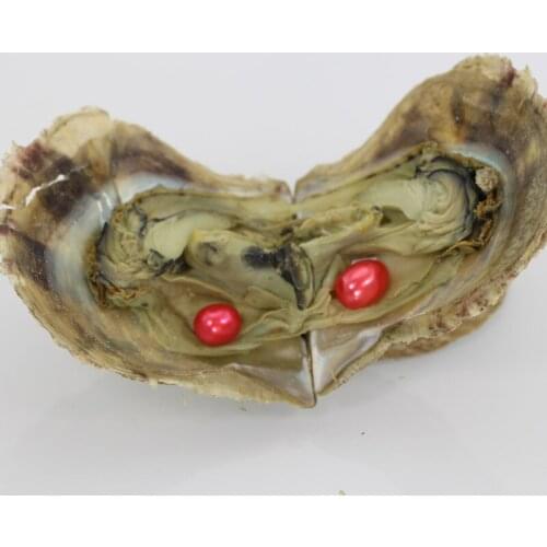 Red Twin Freshwater Pearls in Akoya Oysters AAA Twin 7-8MM Freshwater Rice Pearls with Vacuum-Packed 20 Colors Avaiable ABH721