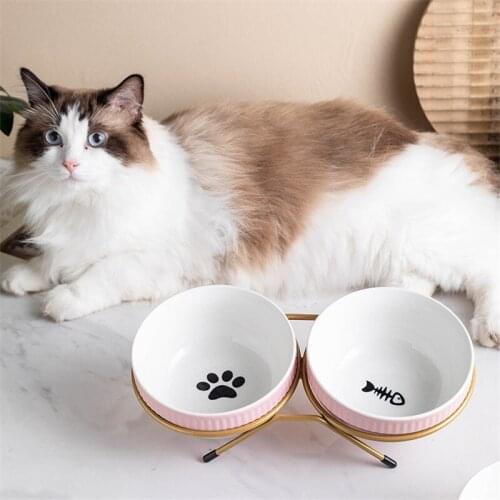 Ceramic Pet Bowl Protect The Spine Table High Foot Cute Cartoon Pet Feeder Dog and Cat Double Bowls Pet Supplies