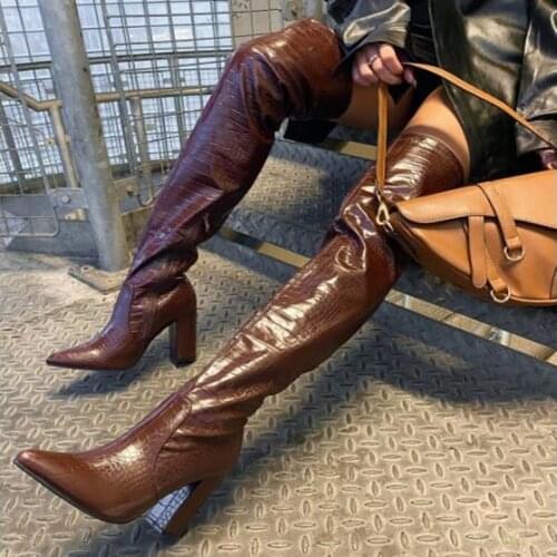 Stylish Brown Snakeskin Printed Leather Over The Knee Boots Chunky Heels Pointed Toe Tall Boots Block Heel Winter Long Boots