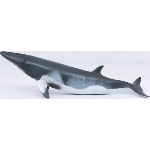 CollectA Wild Life Animals Ocean Minke Whale PVC Plastic Model Children Educational Toy #88862