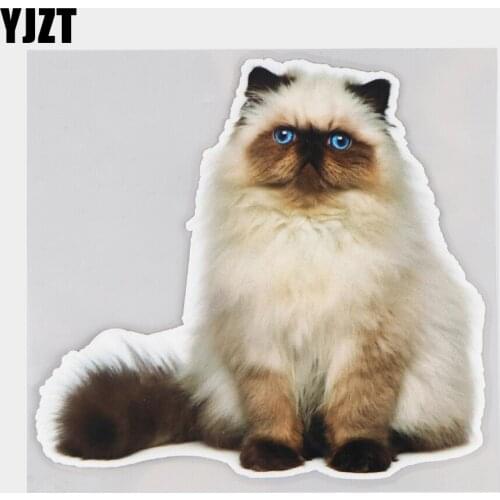 YJZT 16.5×15.4CM Persian Cat Cartoon Body Scratch Occlusion Sticker Car Decoration Accessories 21A-0011