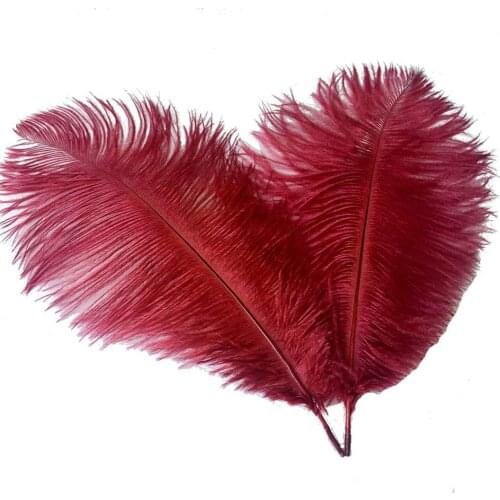 10Pcs/lot Wedding Plume Crafts Ostrich Feathers small DIY Natural Colored Feather Party For jewelry making Decoration 15-30CM