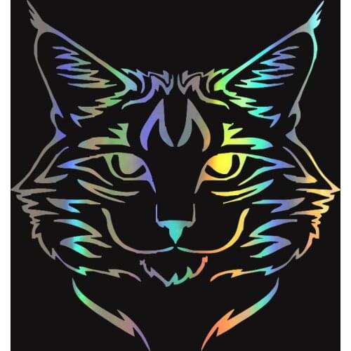Funny Car Sticker Cat Kitty Animal Decal 15cm*14cm