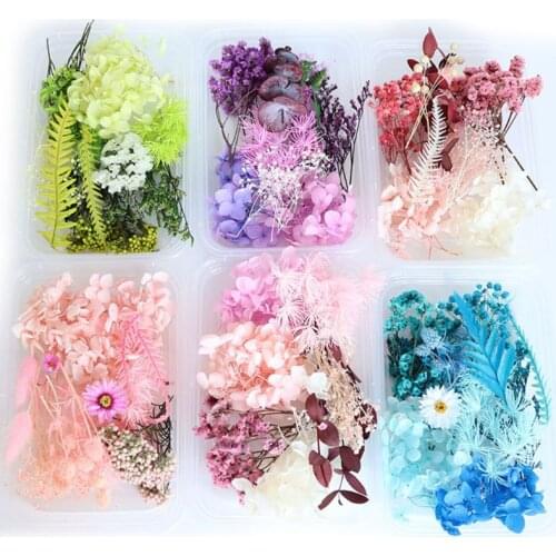 1 Box Real Mix Dried Flowers for Aromatherapy Candle Resin Jewellery Dry Plants Pressed Flower Making Craft DIY Accessories Home