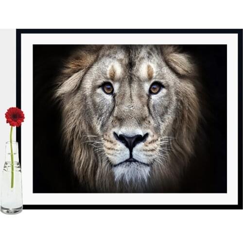 Lions Snout Glance Studio Pictures Living Room Wall Art Decor Animal No Frame Poster Oil Painting Decoration
