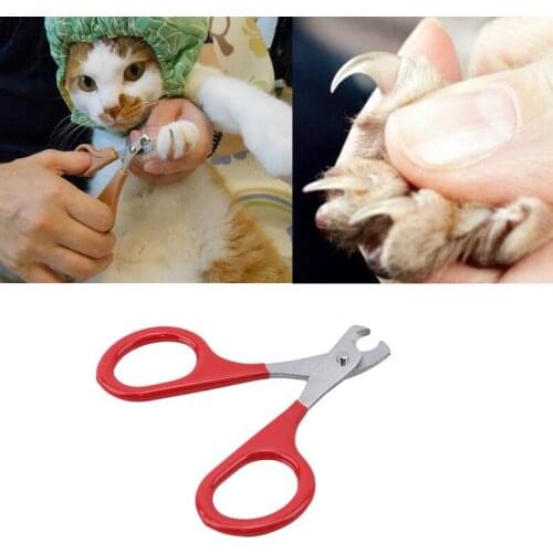 Cat Nails Scissors Pet Cat Claw Care Tools Pet Supplies Accessories Cat Claw Cleaning Tools Nail Scissors