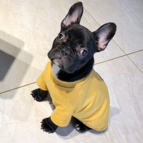 Fashion French Bulldog Pug Hoodie Shirt Cozy Dog Sweater Coat Spring Pet Clothes for Small Dogs Puppy Clothing Shih Tzu Outfit