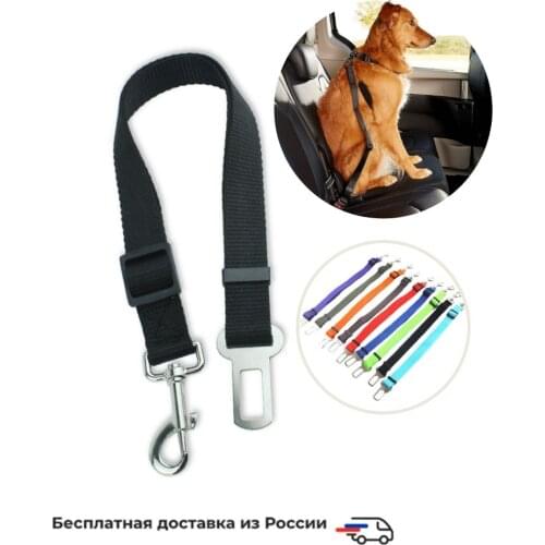 Petsnfriends Collars, Harnesses And Leashes