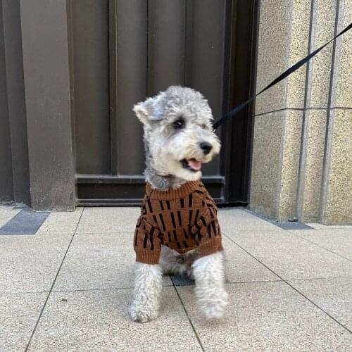 Luxury Dog Clothes Spring Pullover Dog Sweater Schnauzer Highland Corgi French Bulldog Poodle Cat Trendy Pet Accessories