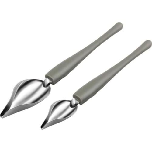 LUDA Culinary Drawing Decorating Spoon Set, 2 Pcs Saucier Drizzle Spoons,Decorating Pencil Spoon for Decorative Cake,Coffee