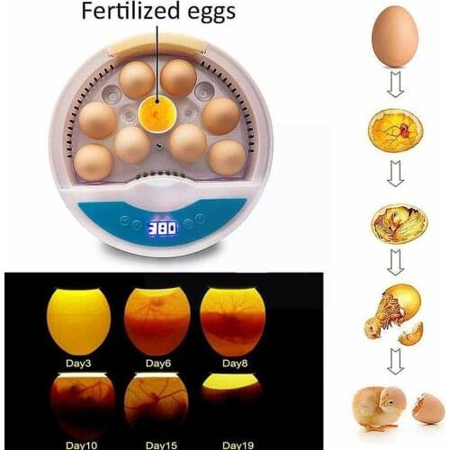 Mini 9 Egg Incubator Farm Hatching Automatic Digital Quail Poultry Control Chicken Brooder Humidity Temperature LED Bird Du Y0Q8