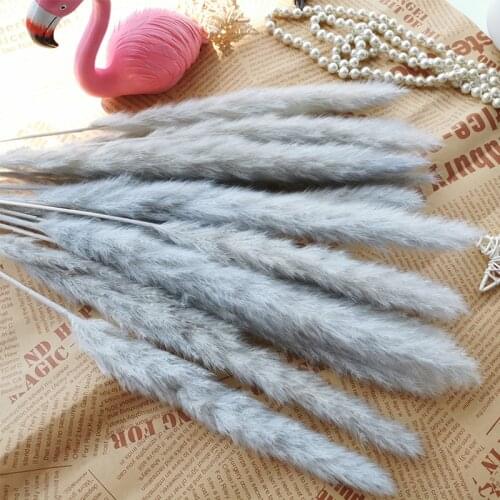 15Pcs Small Pampas Grass Natural Dried Flowers Wedding Flowers Marriage Real Plants Home Decoration Reed Pampas Phragmites