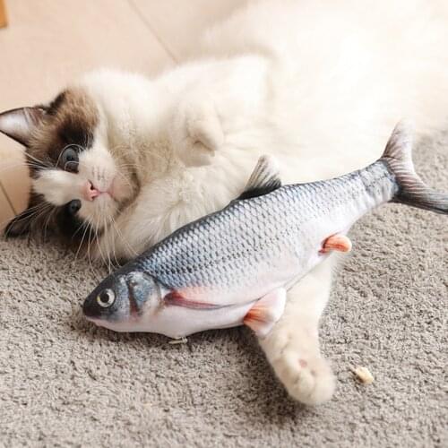 Cat Toy Fish Simulation toys for cats dog funny Pets play training toothbrush teaser games Interactive catnip soft toy supplies