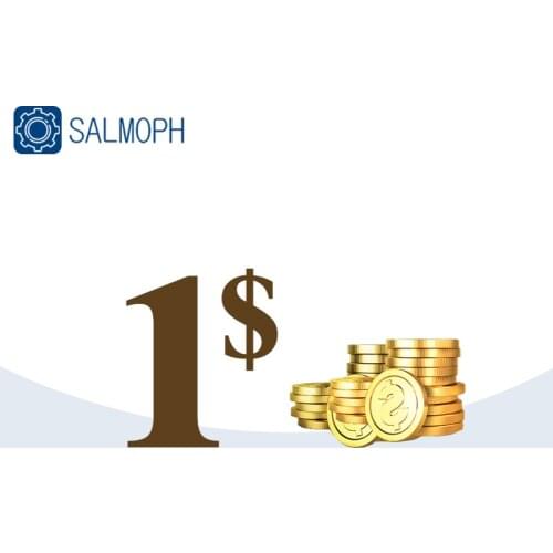 This is for extra fee,it represent 1 dollar,you can select the piece to make the extra price profit your need