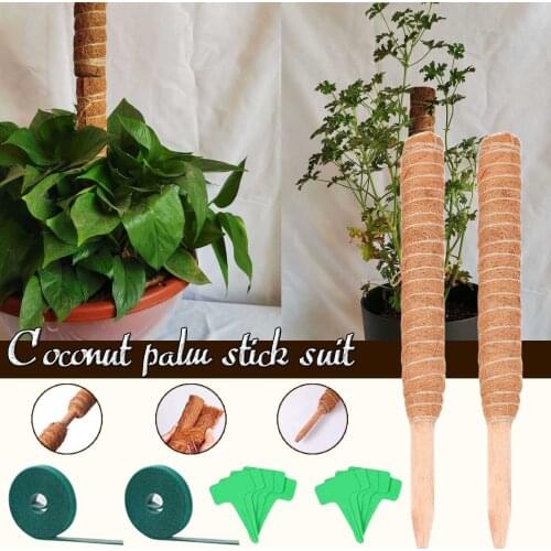 2PC Stitchable Plant Climbing Coconut Totem Rod Connectable Garden Support Palm Stick Suit As A Plant Climbing Frame