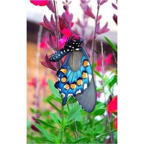 Kexinzu 5D DIY Full Square Round Diamond Painting Cross Stitch Animal Butterfly Flower 3D Diamond Embroidery Mosaic Work Gift 01