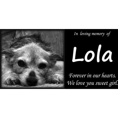 Natural Granite Personalized Pet Memorial Stone, Creative Pets Tombstone, 30X15CM