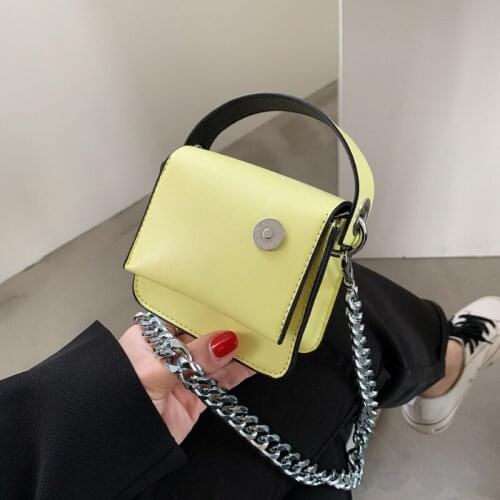 Luxury Women Mini Bag Ins Fashion Thick Metal Chain Pinch Bag Women Brand Designer Crossbody Bag Small Coin Purse And Handbag