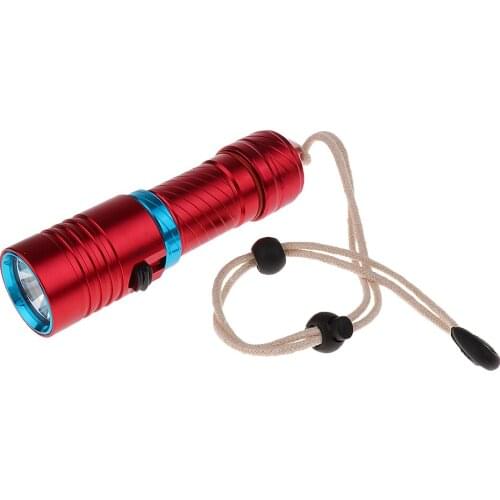 Portable Diving Torch Flashlight LED Underwater 100M Photography Photo Video