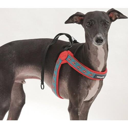 Explosion Proof Small and Medium-sized Dog Harness Greyhound French Bulldog Shiba Inu Dog Leads Dog Leashes Dog Accessories