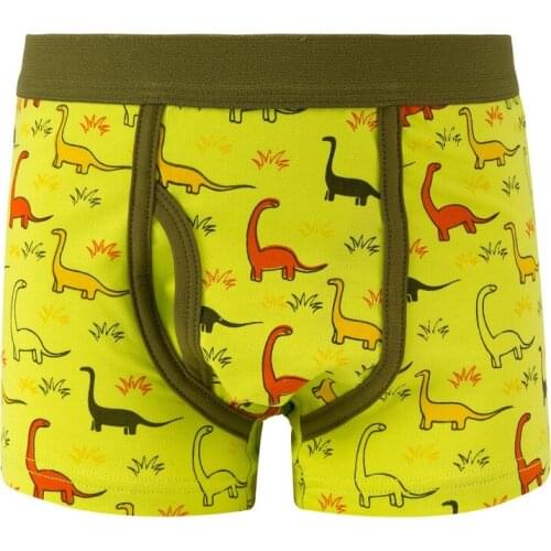 5Pcs/lot Boys Baby Underwear Boxers Cotton Cute Breathable Cartoon Dinosaur Print Panties Training Briefs Kids Underpants