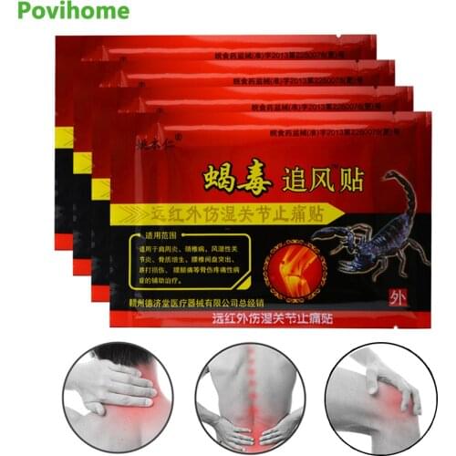 Povihome Orthopedic Plasters From China